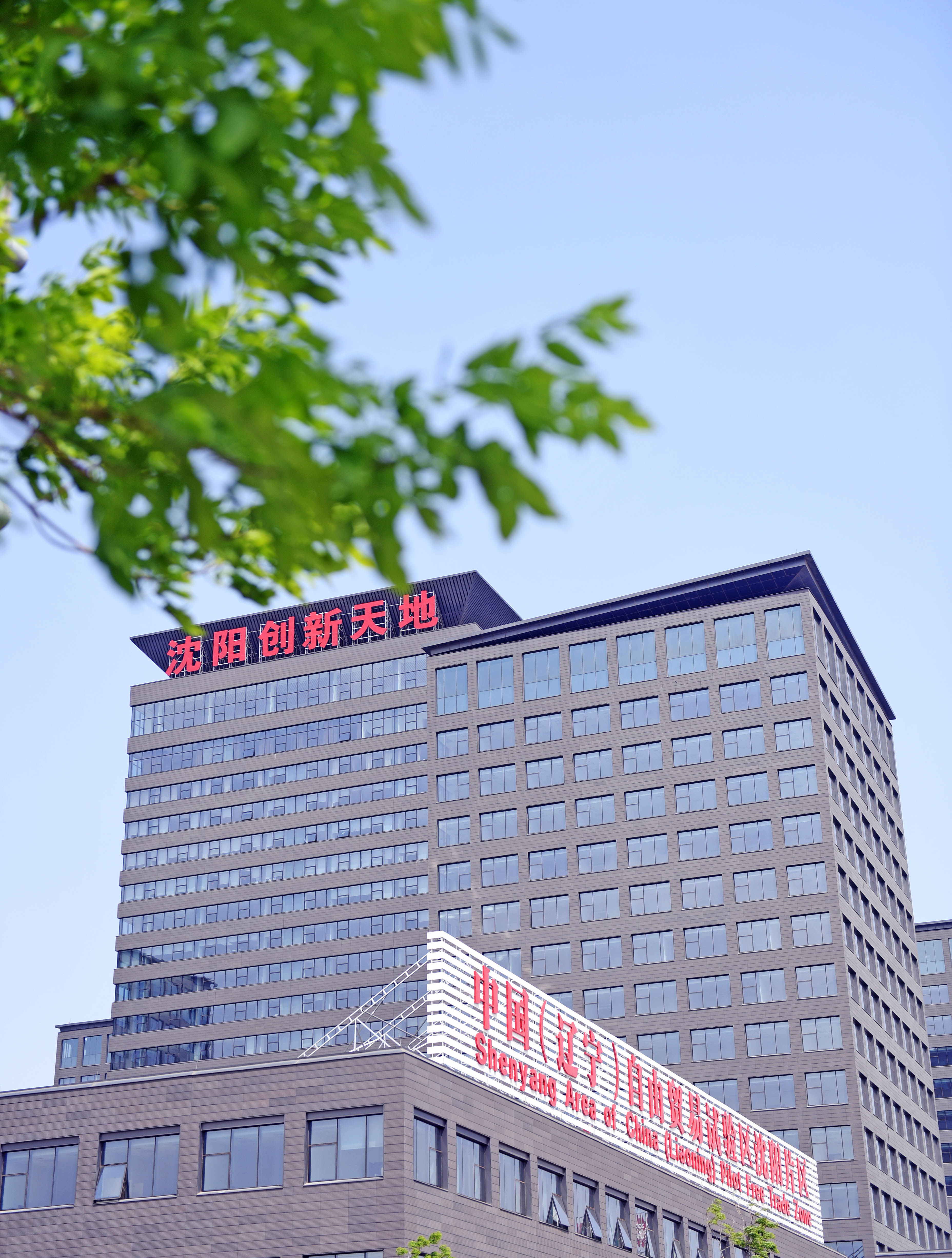 自贸红利不断释放 对外开放正在提速