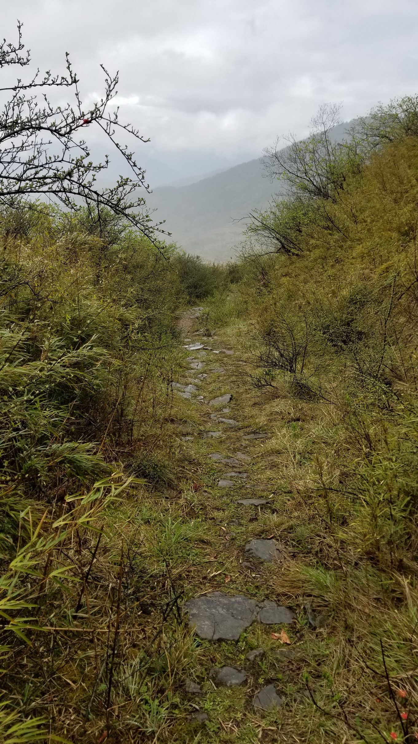 茶马古道清溪城之大相岭