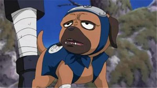 火影中几大搞怪又可爱的通灵兽,打野全靠它们了