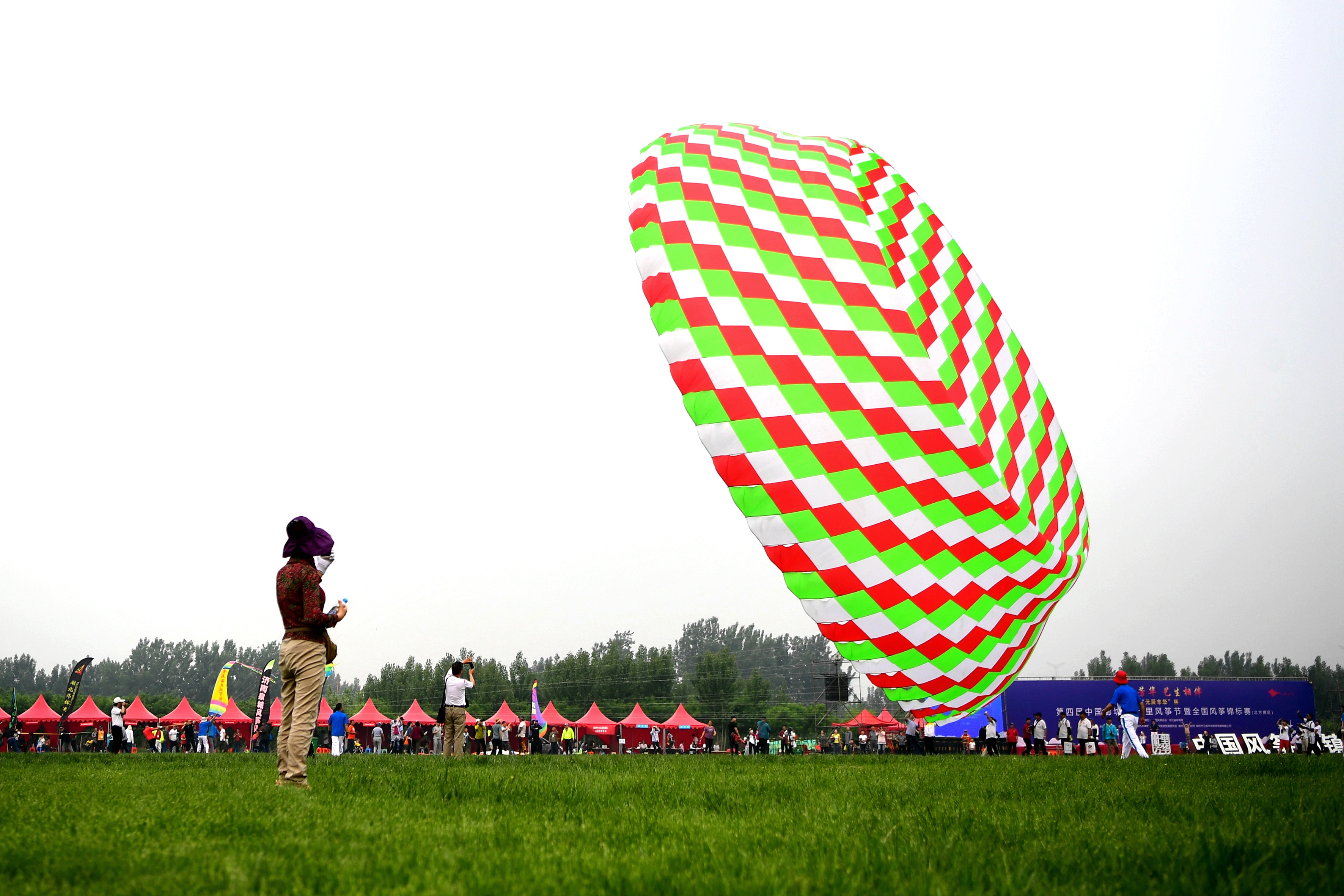 放飞"滚地龙"(3)