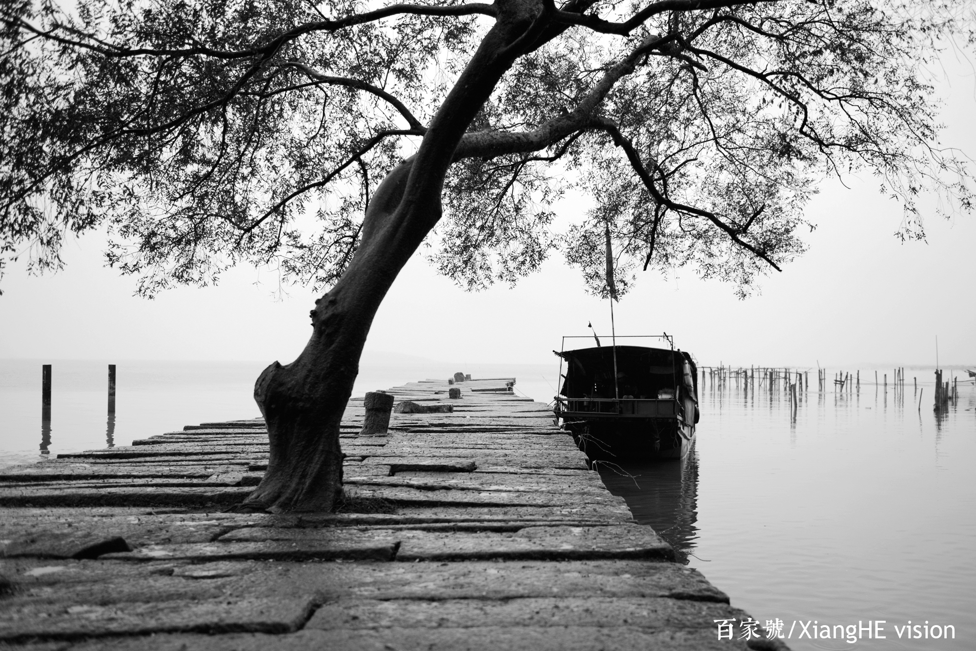 历尽沧桑的古码头,十分的从容淡泊