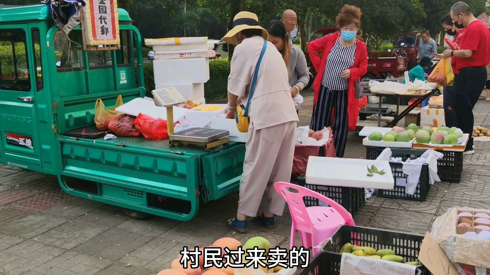 海南这个小区早市的物价太便宜,在这儿生活的候鸟有福了,看一下
