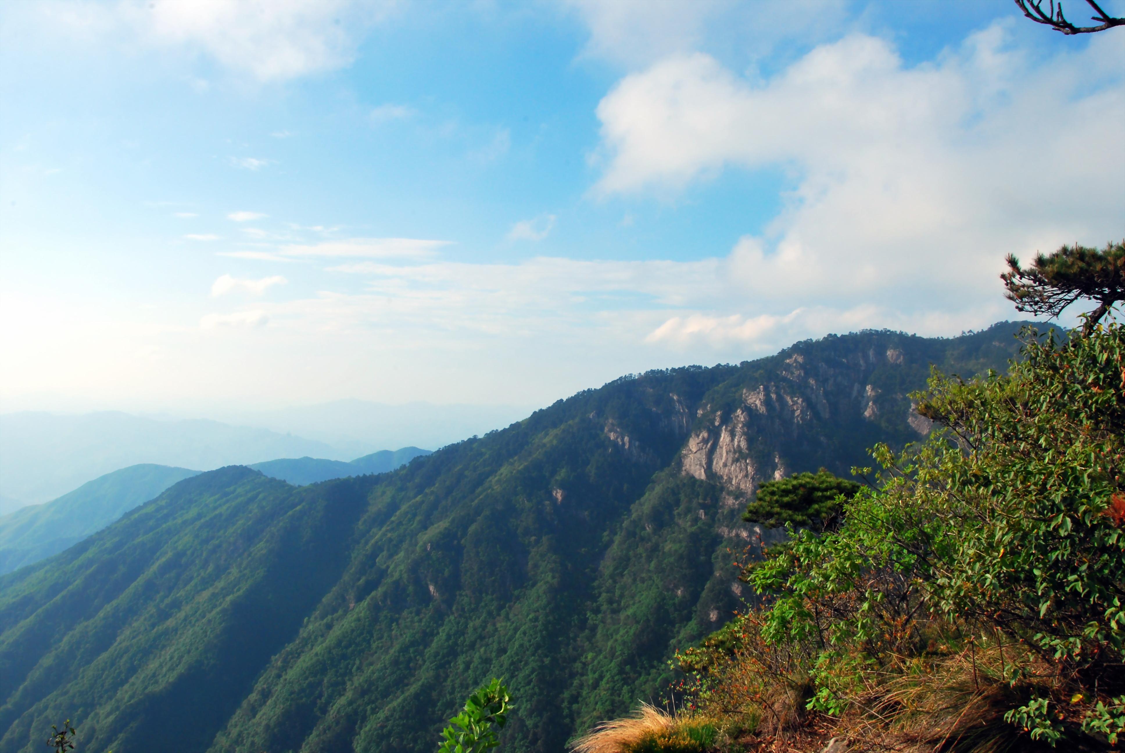 龙王山自然保护区图片