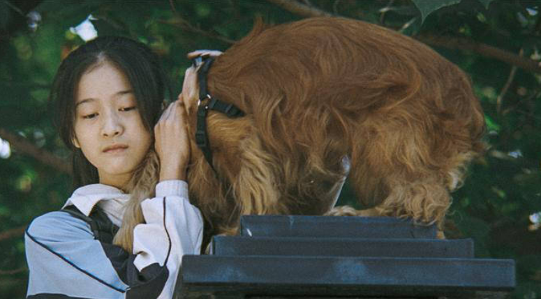 看完狗十三后网友感叹,如果你没看懂,那一定过得很幸福吧