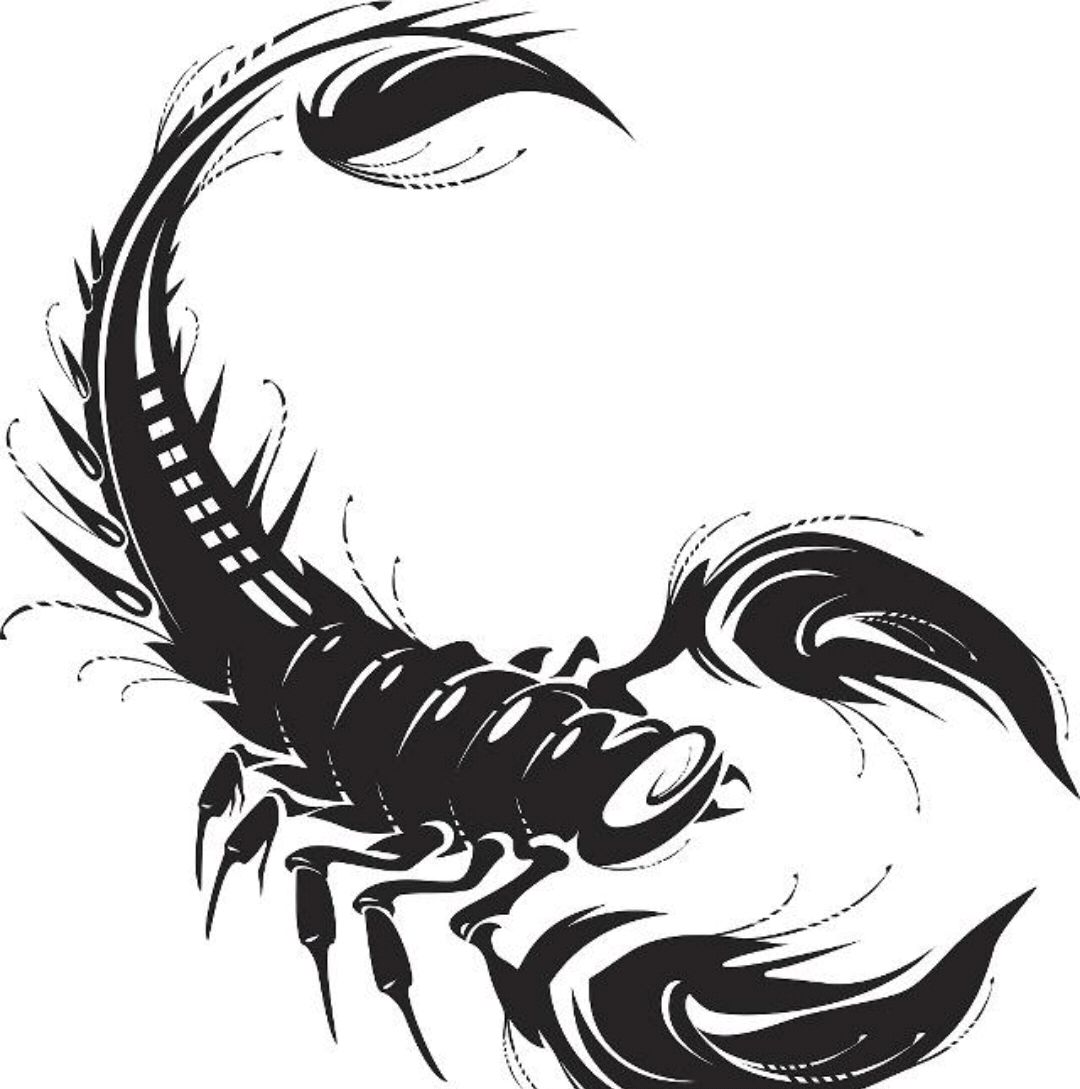 传统纹身图案寓意第十三集:五毒