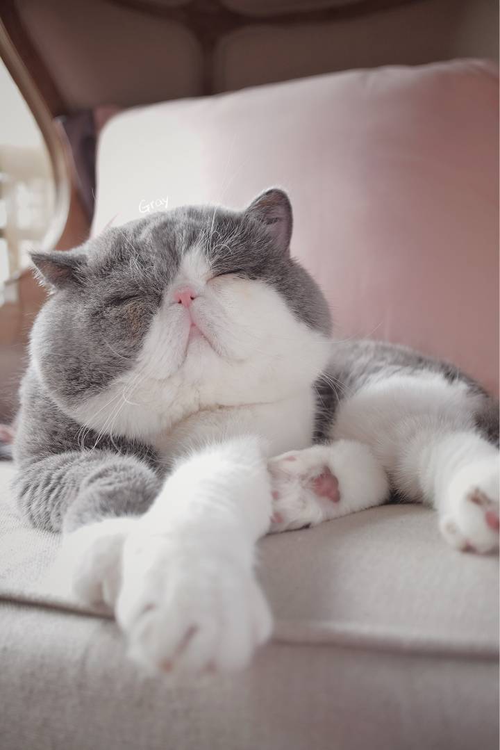 720_1079竖版 竖屏