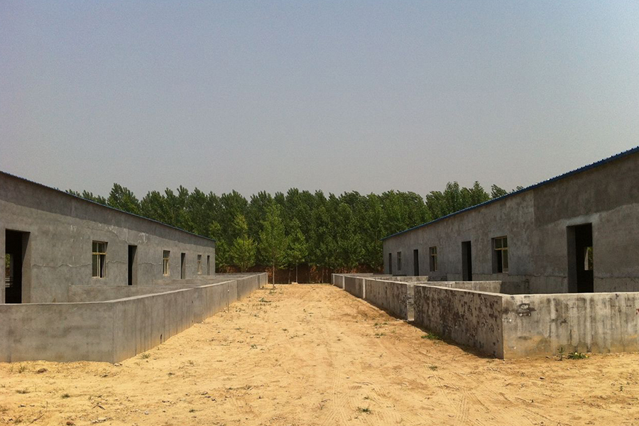 虽然自己家现在有个羊场,但是也