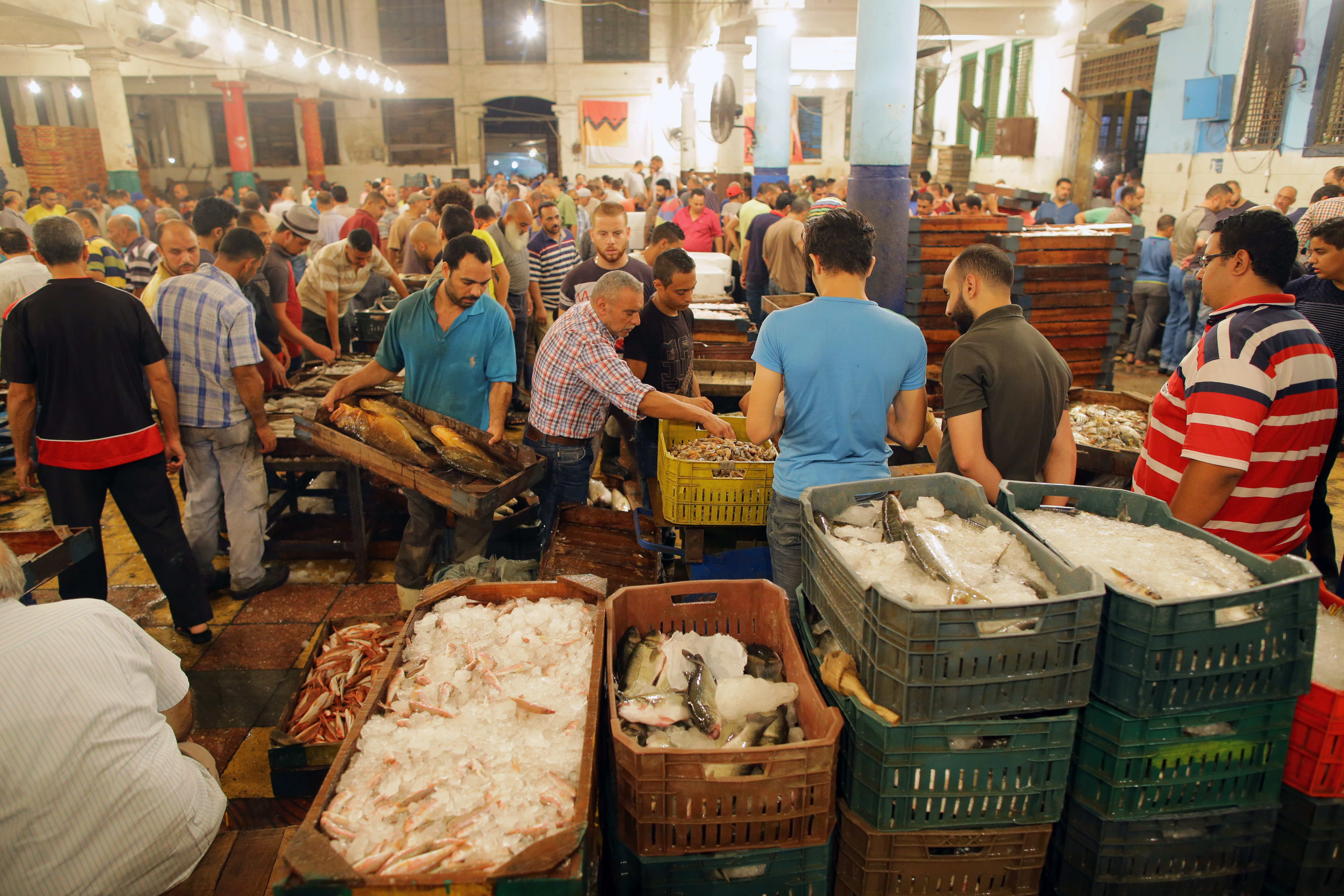 亚历山大鱼市(1)