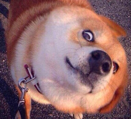 阅读搞笑短句子,生活愉悦乐无边(附无厘头图片)