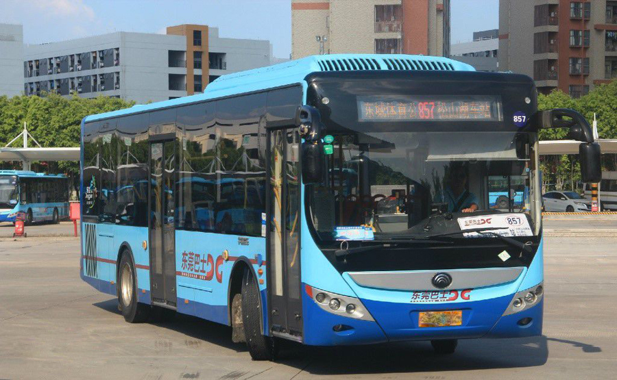 为什么说在广东东莞坐公交车,是一件幸福的事情