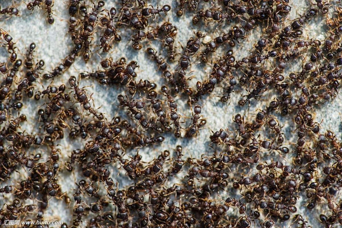 虿盆堪称远古酷刑,比凌迟还恐怖,发明它的赫然是一位蛇蝎美人