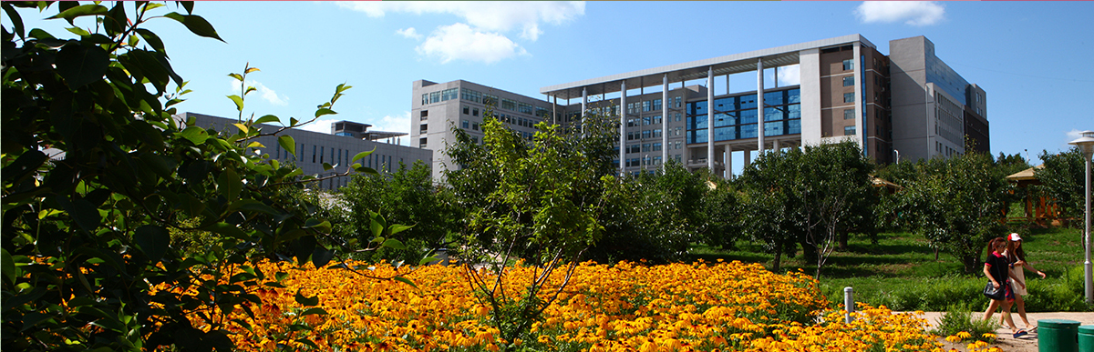 延边大学师范学院图片