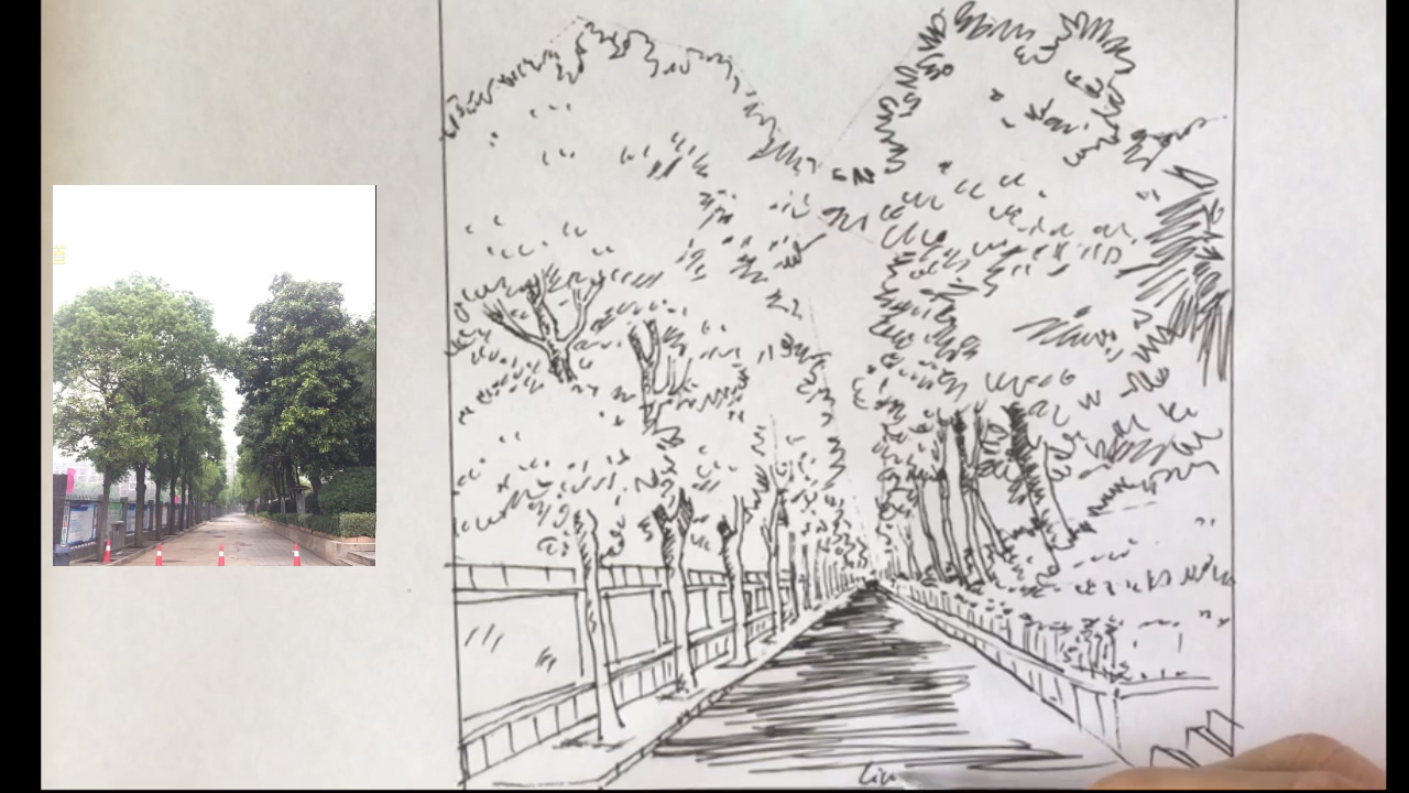 画家乡的风景(3)速写校园街道,七年级下册第一课