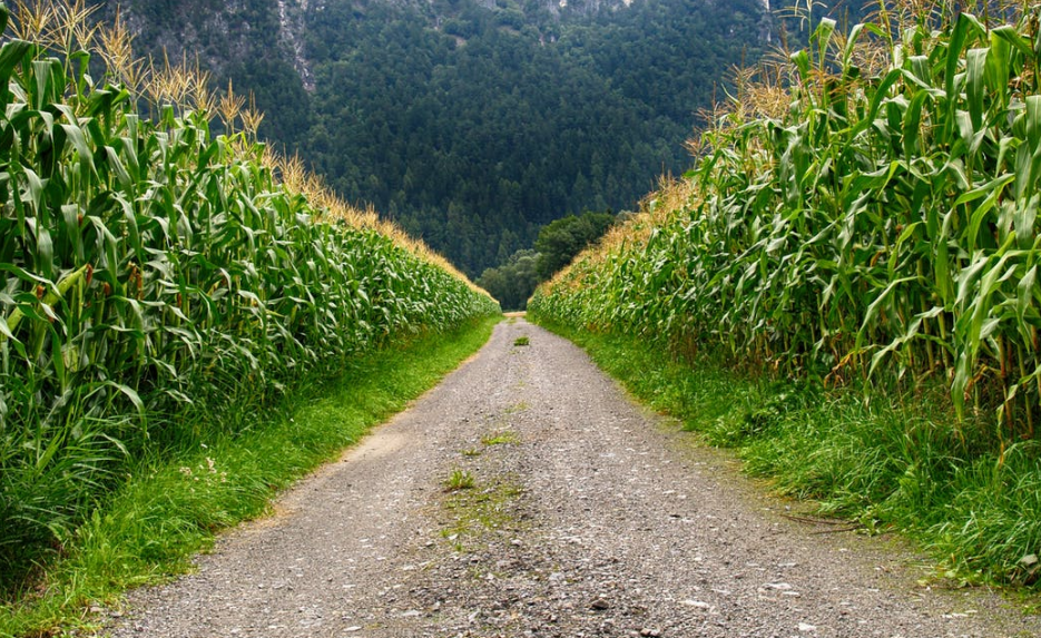 美丽的乡村风景,你最喜欢哪张图片呢?