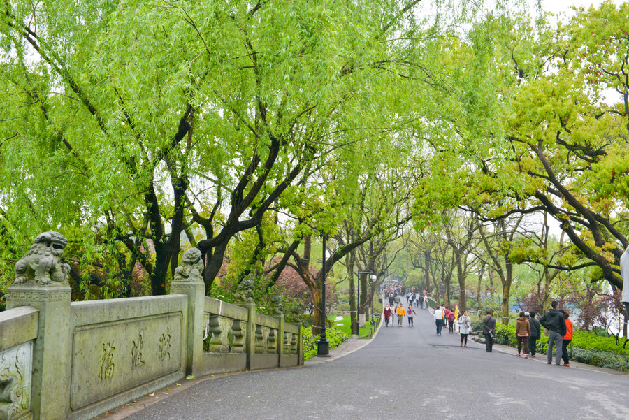 苏堤春景图片图片