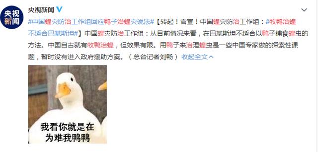 10万只鸭子出国灭蝗?央视发文:牧鸭治蝗不适合巴基斯坦