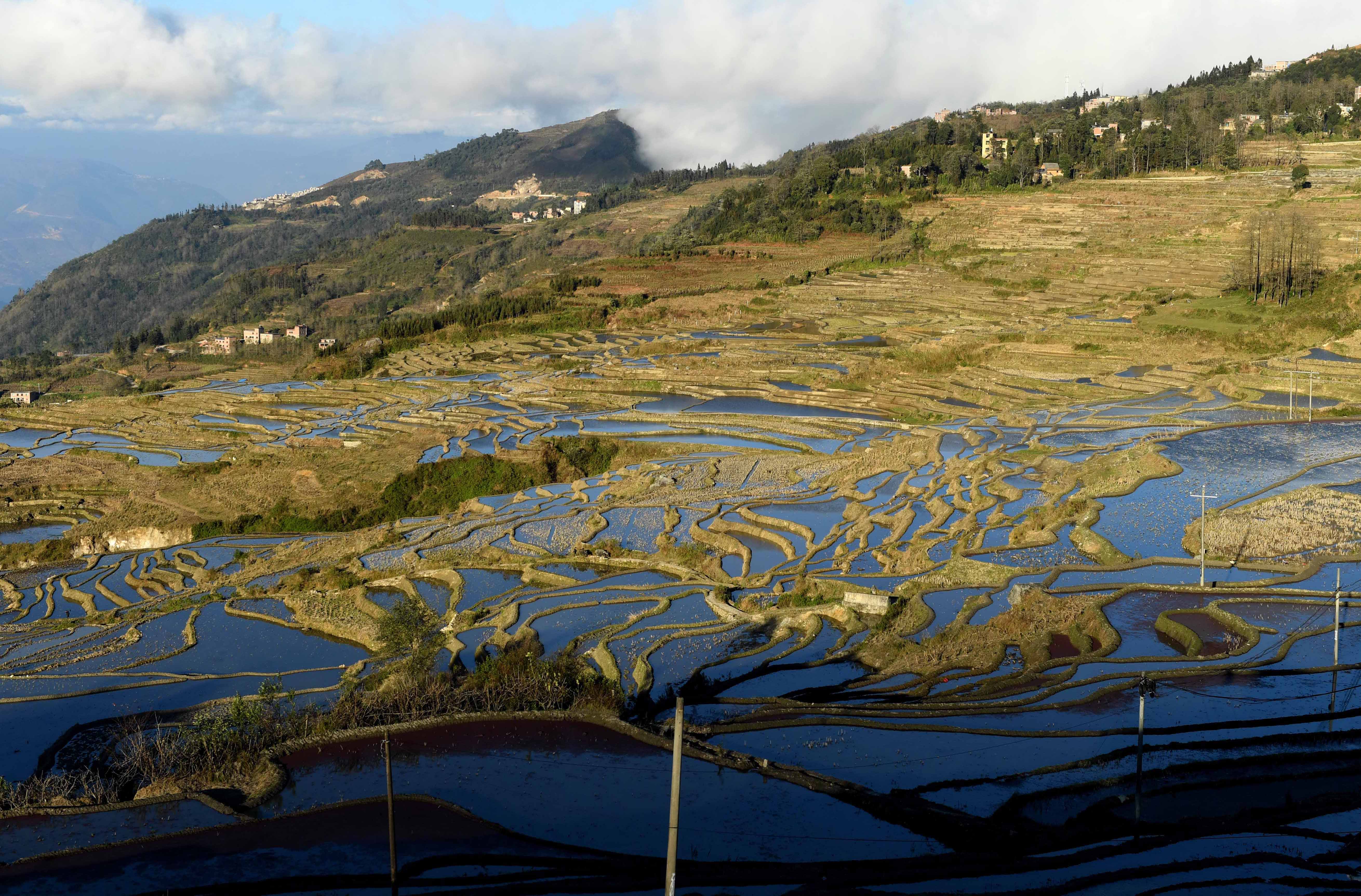 冬日云南哈尼梯田美景如画