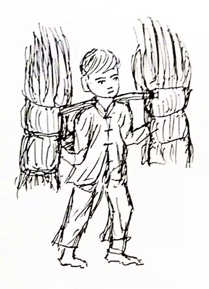 知青故事:茅草琐记