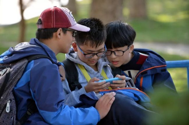 网络小学生照片图片