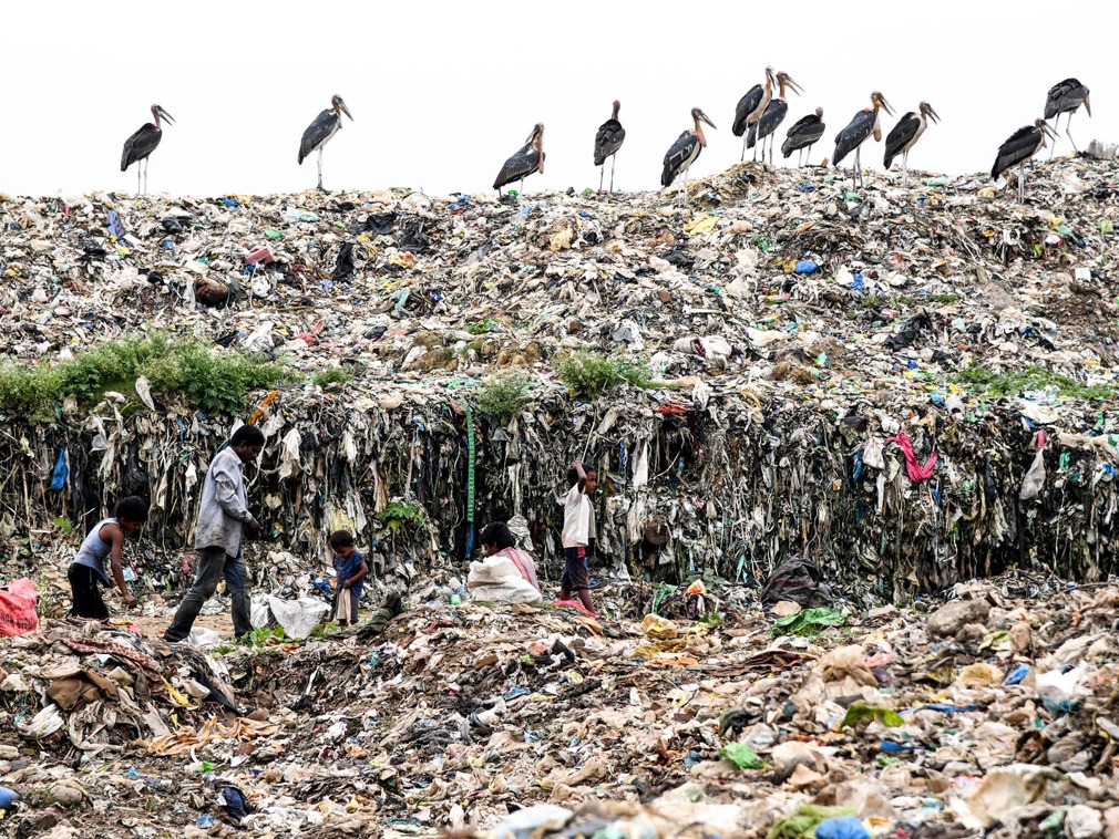 法媒:印度新德里垃圾山高度将超过泰姬陵,污染触目惊心