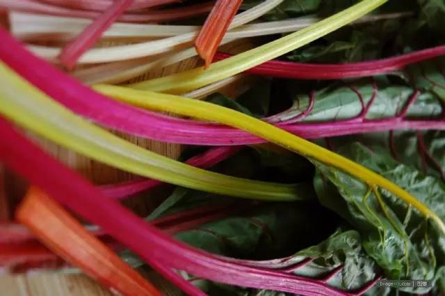 恕我直言,就这些蔬菜,不如不吃!——英国超市奇葩蔬菜