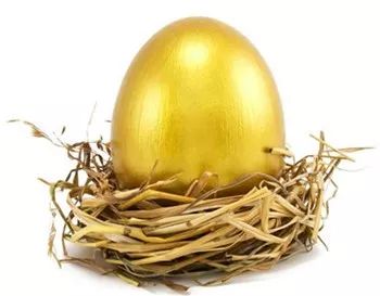 什么是南京会下金蛋的"老母鸡"?