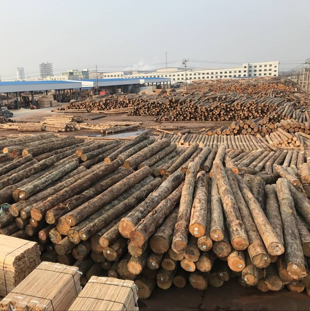 木材市场批发