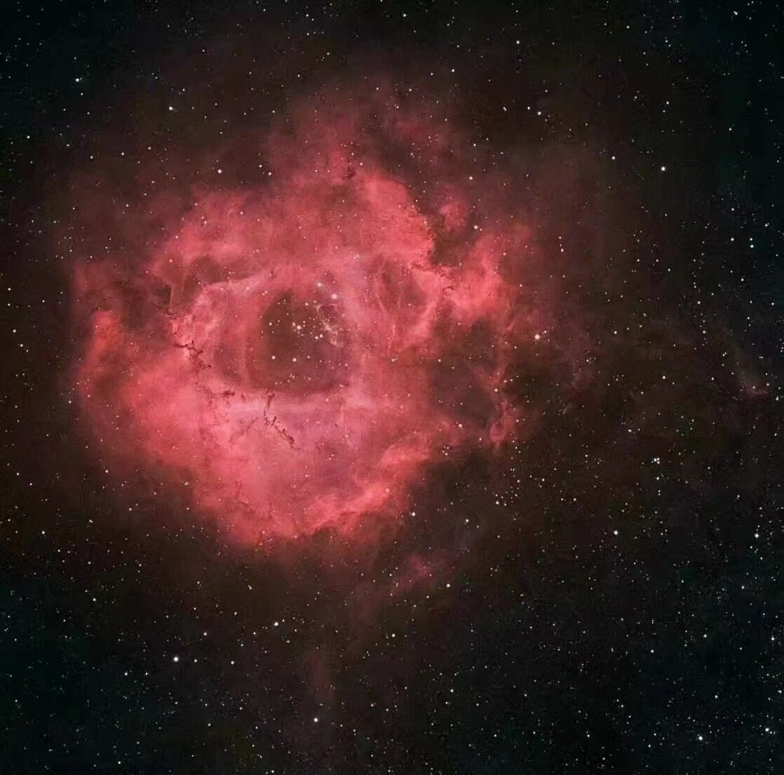 网易云热评:请允许我向你介绍,这是ngc2237号玫瑰星云