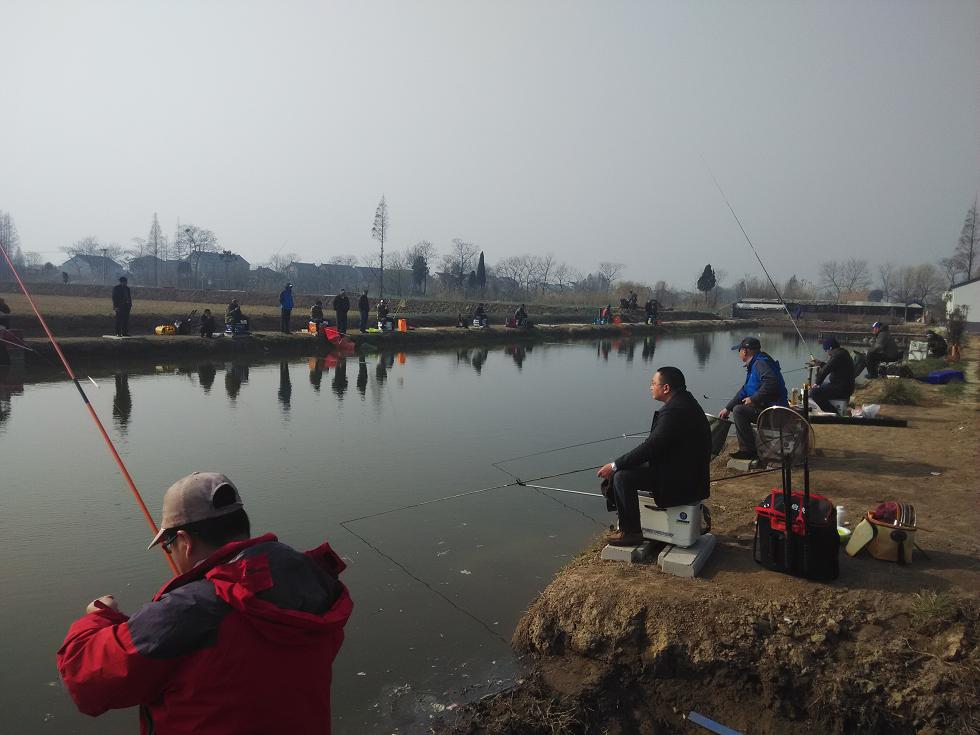 新手钓黑坑不再难,这里教你怎么玩转黑坑