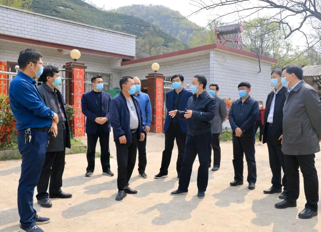 河南信阳:翟晓宾调研疫情防控和春茶安全生产工作
