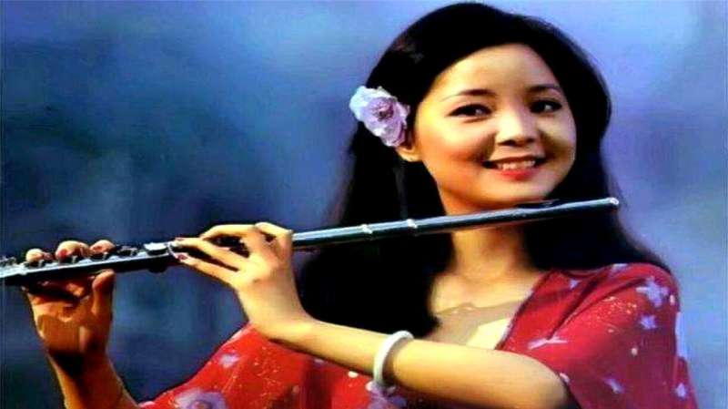 歌曲明月几时有王菲,水调歌头演唱