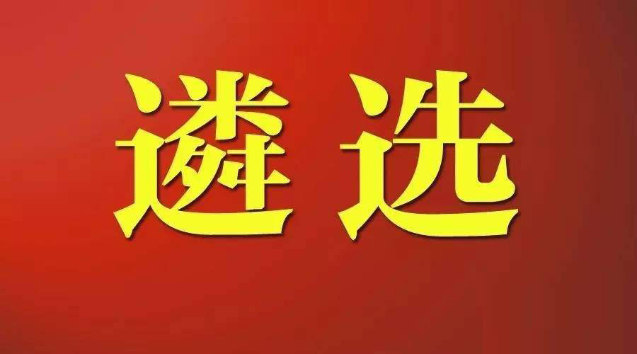 招246人!小军师遴选推送!