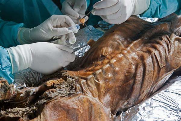 此夫妇到一地登山,发现一具赤裸干瘪的尸体吓坏,报警后举世哗然