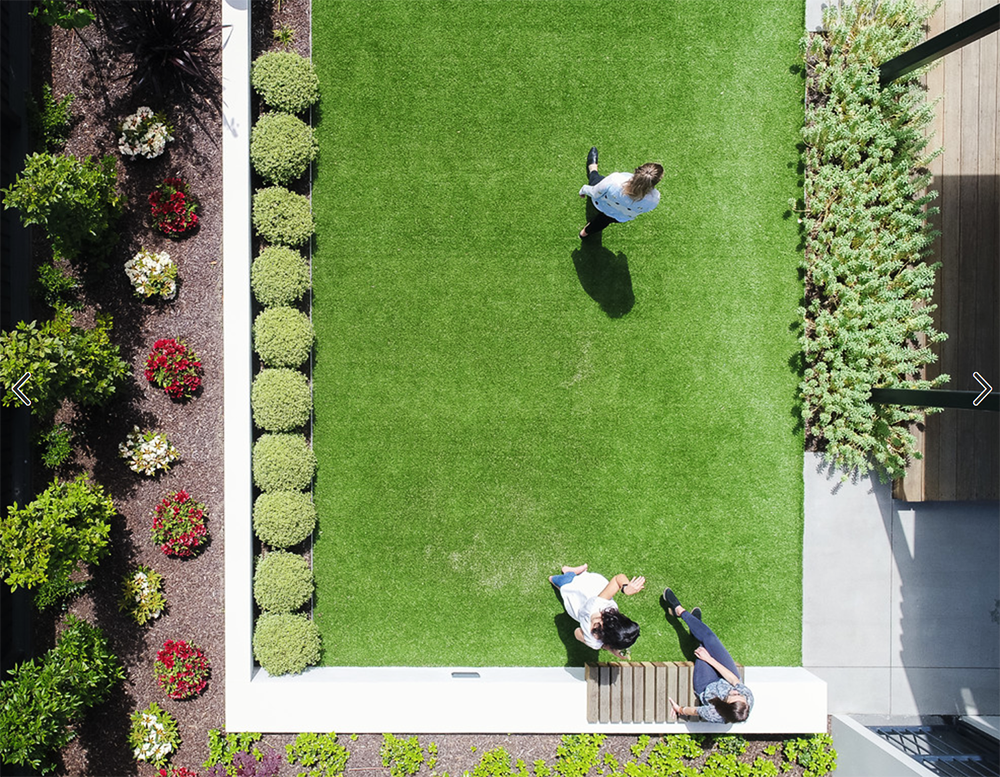 两个庭院均具有大面积的草坪,从来没想过草坪也能成为庭院里的主角
