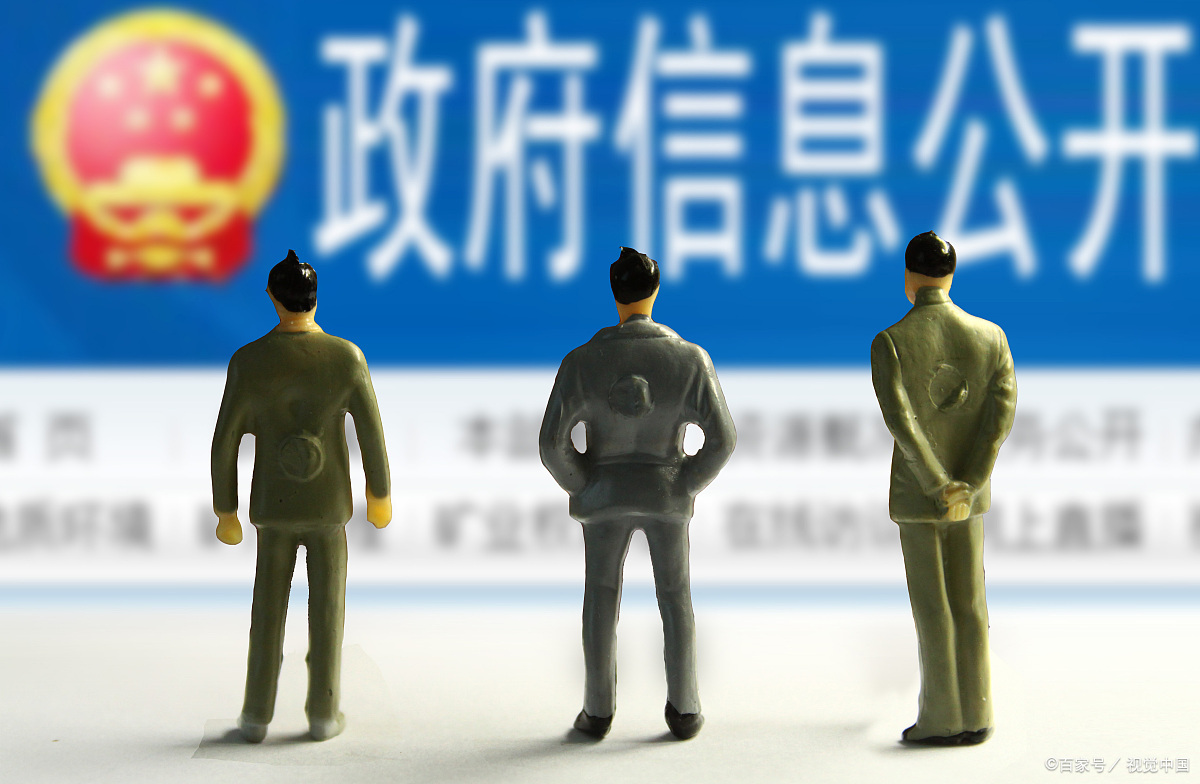 但是,在如此强调政府信息公开透明的背景之下,仍会出现公民在申请政府