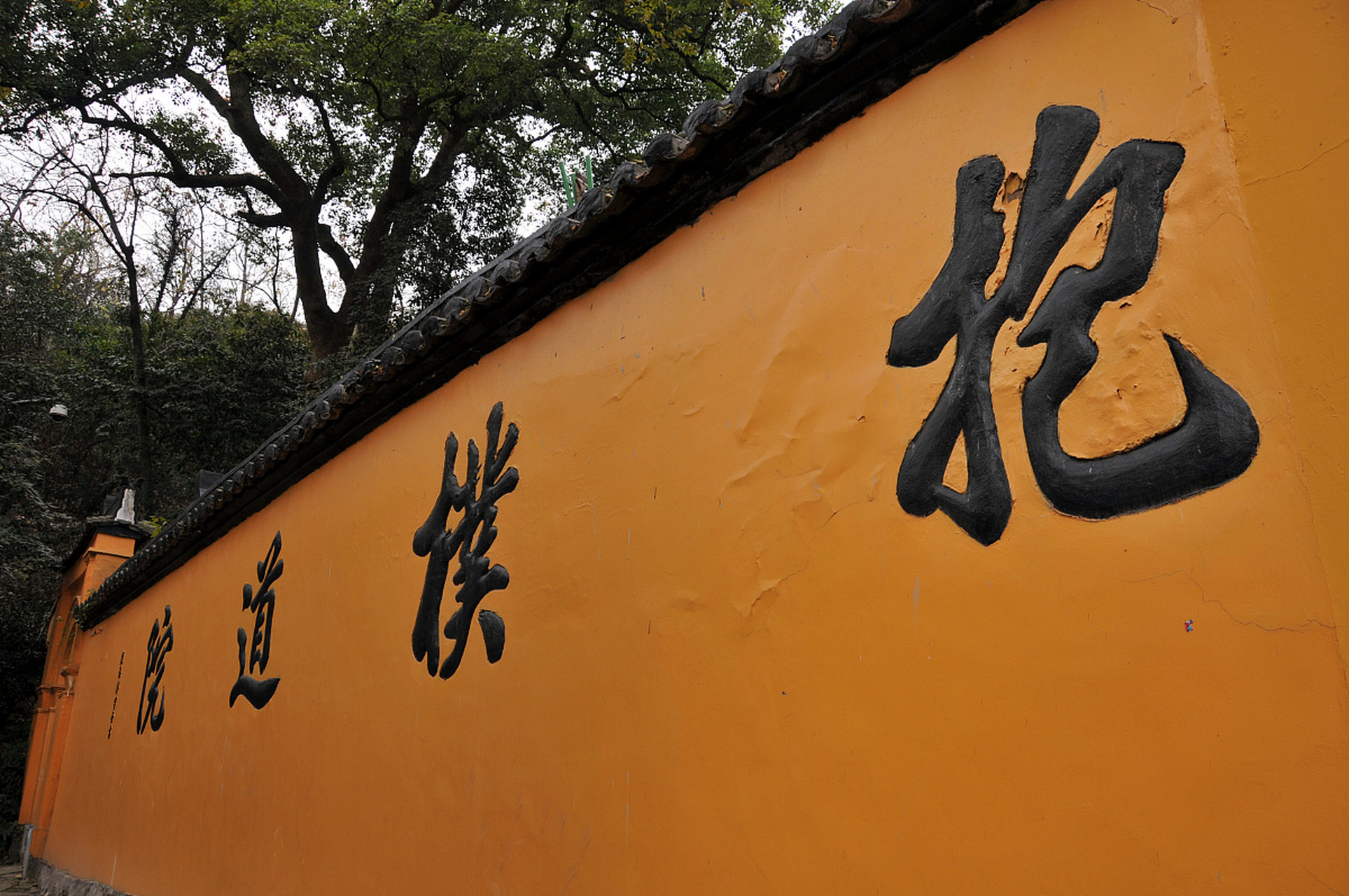 今天我们去杭州市西湖风景区内的葛岭山,要向大家介绍一座历史悠久的