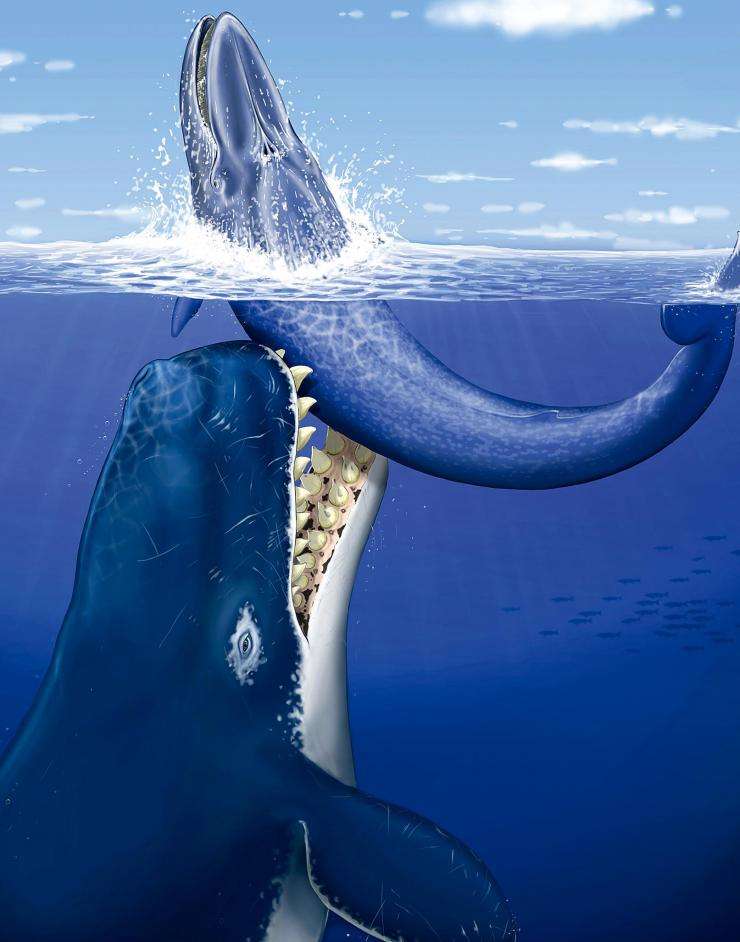 远古时代的五大海洋霸主