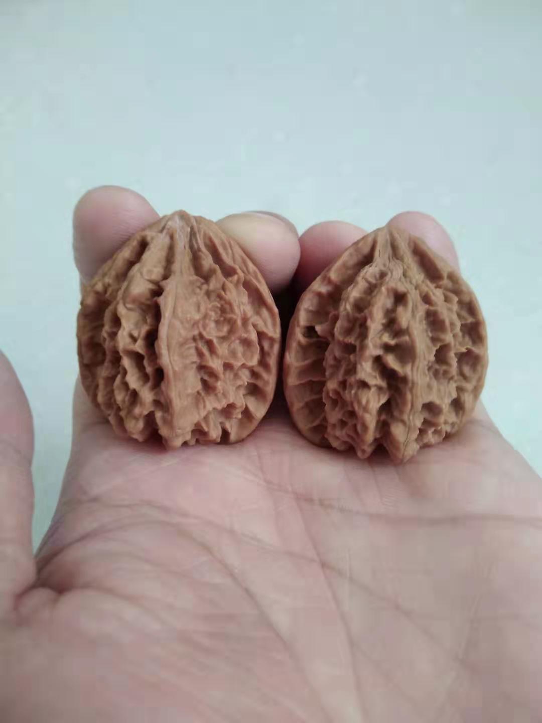 大家好,我是核桃特工,今天给大家分享另一个文玩核桃品种:帝王狮子头