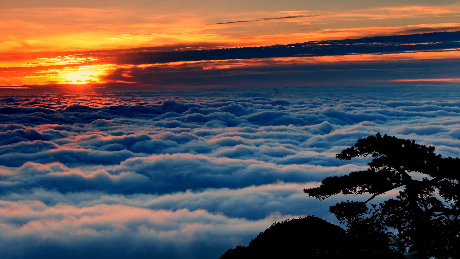 江西三清山红日初升的美景,一轮耀眼的红日从云层中喷薄而出!