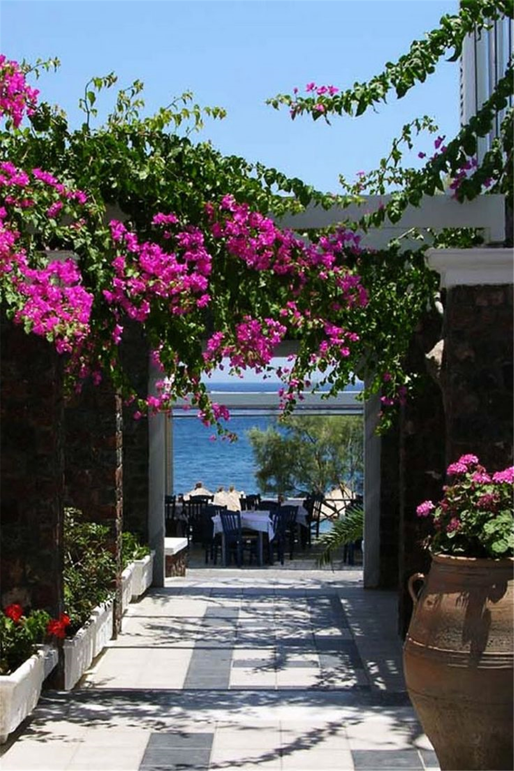 这里的生活很有情调,每个别墅都带有自家院子和花园.