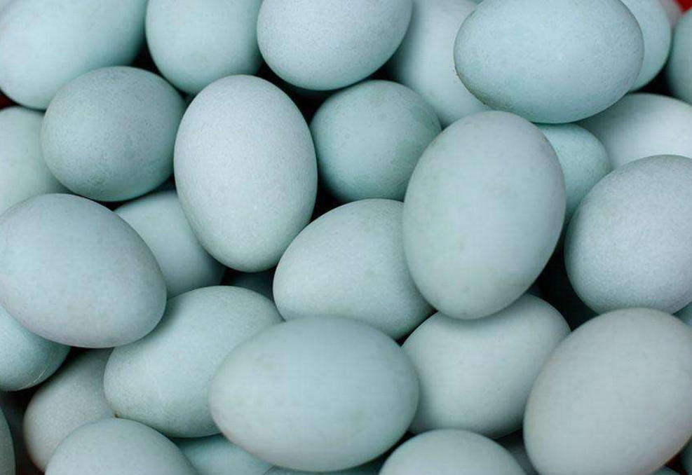 为什么大型购物商场有鸡蛋和鸭蛋,就是看不到鹅蛋?网友:明白了