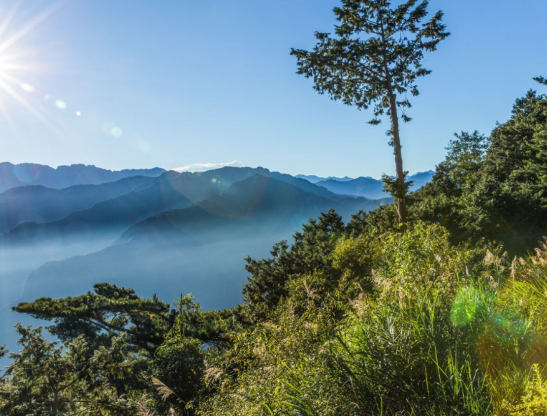 阿里山祝山是一个有风景名胜,国家公园的风景区,值得推荐的有:日出