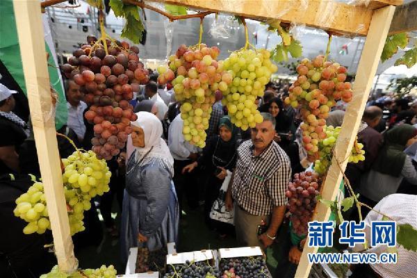 巴勒斯坦葡萄节开幕