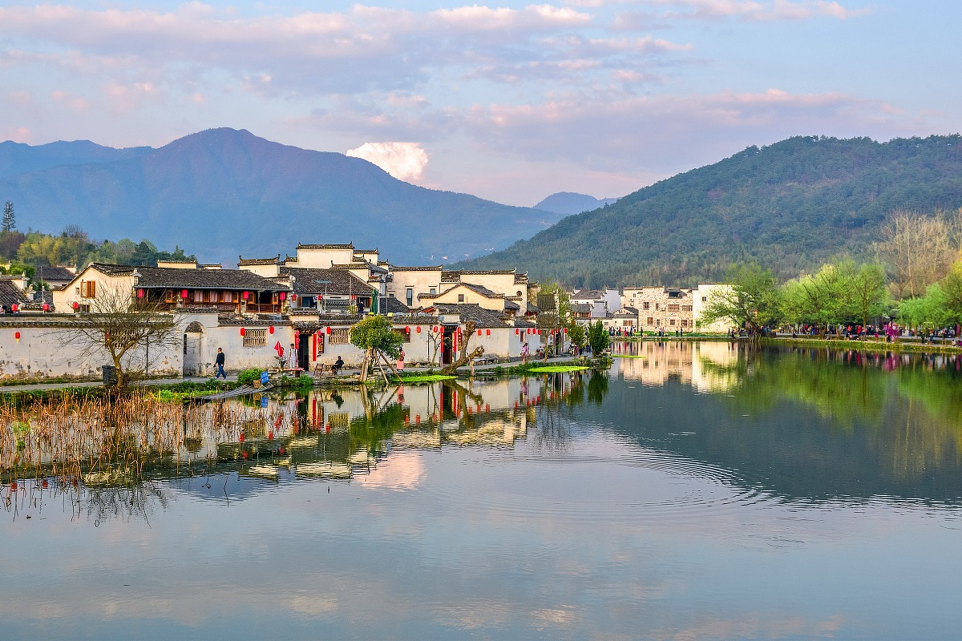 镜头里的春天# 安徽庐江南屏镇,坐落于黄山市黟县碧阳镇,是一处未被