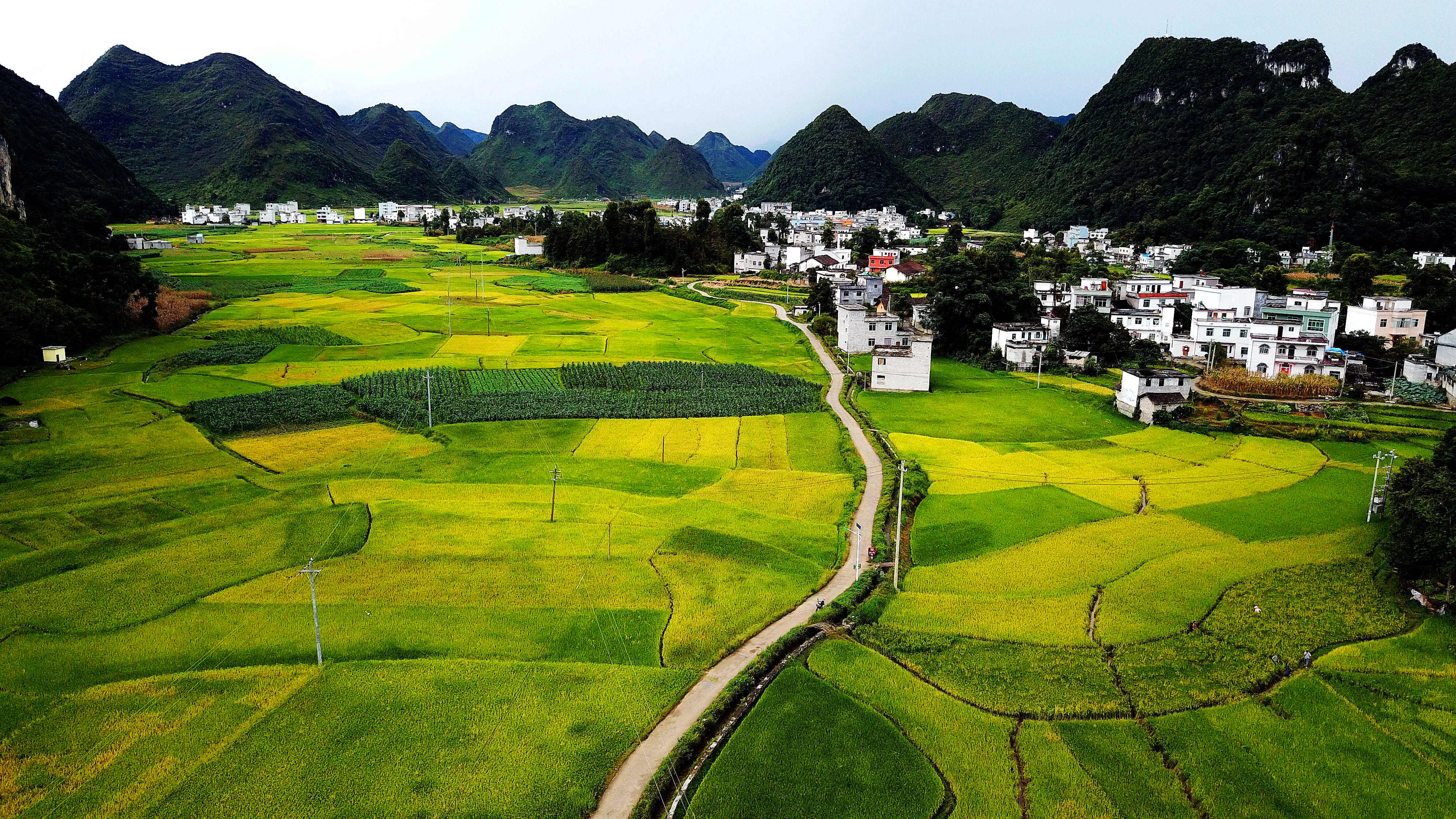 (辉煌60年·壮美新广西)(3)生态优势金不换——一幅铺满壮乡大地的