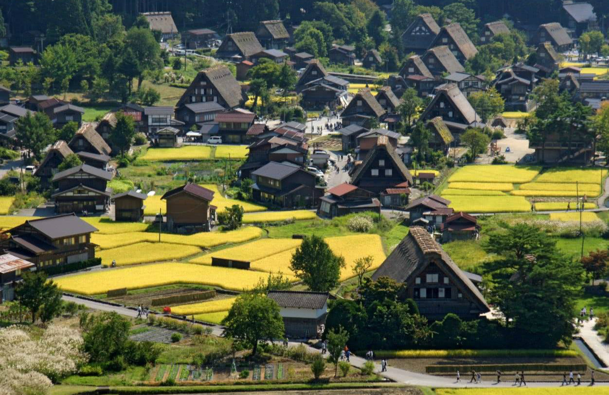 日本农村发展得有多好?房子像别墅农民都有车,真长见识了