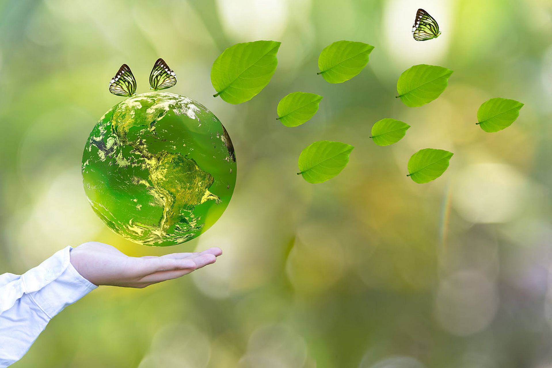 保护生态环境,是所有人都知道的,但是能够真正做到时刻都保持爱护生态