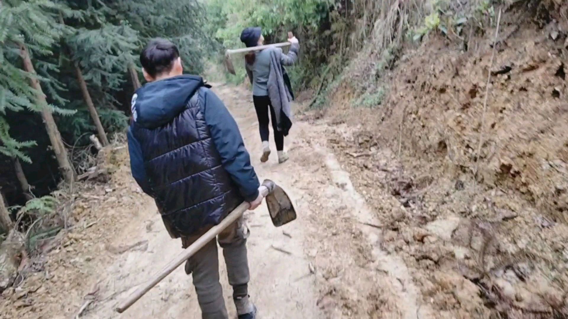 清明节 去播种的路上 发现野鸡的叫声