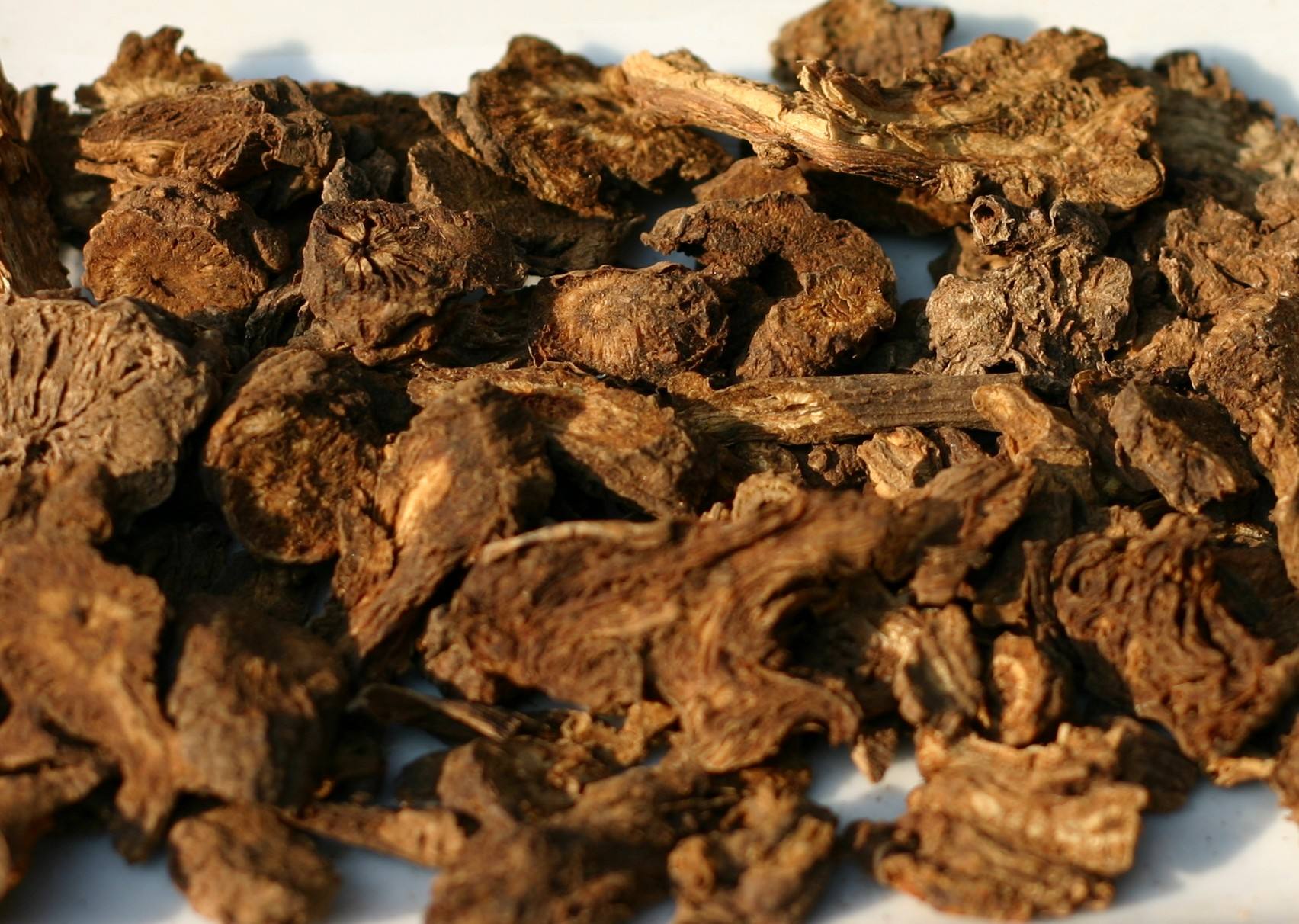 用于治疗头痛的羌活,人工种植时,应该注意这5个种植事项!