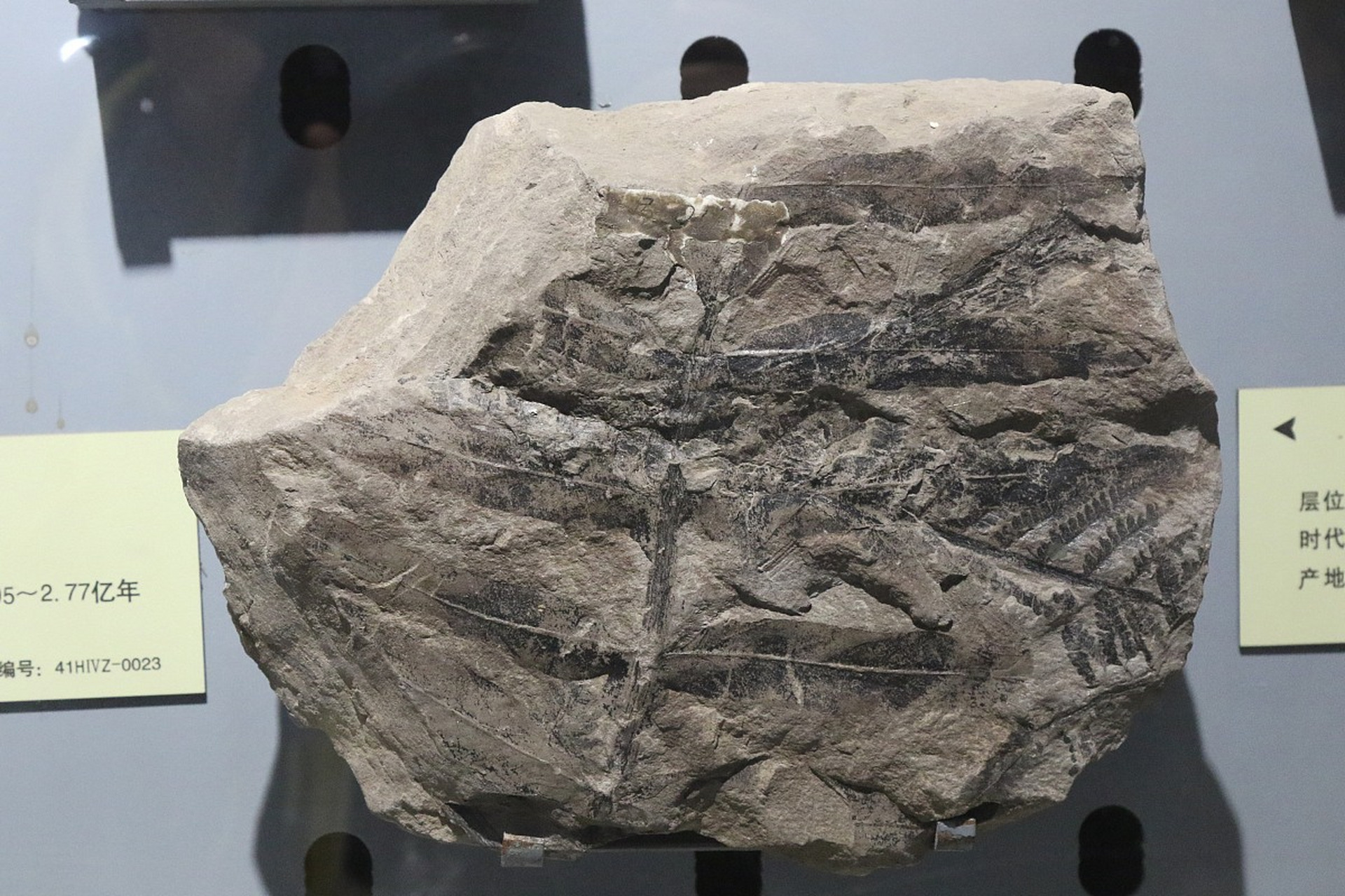 当然,除此之外,寒武纪古生物化石也应该有它的文化寓意和象征.